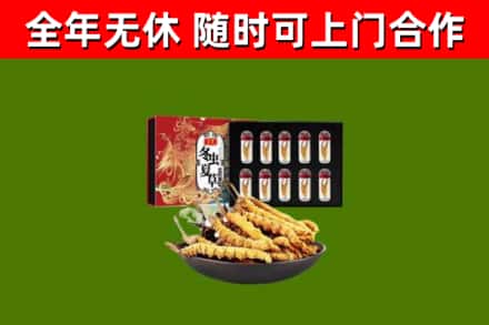 迎泽回收冬虫夏草价格